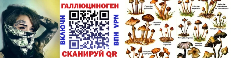 купить Богородицк Галлюциногенные грибы прущие грибы