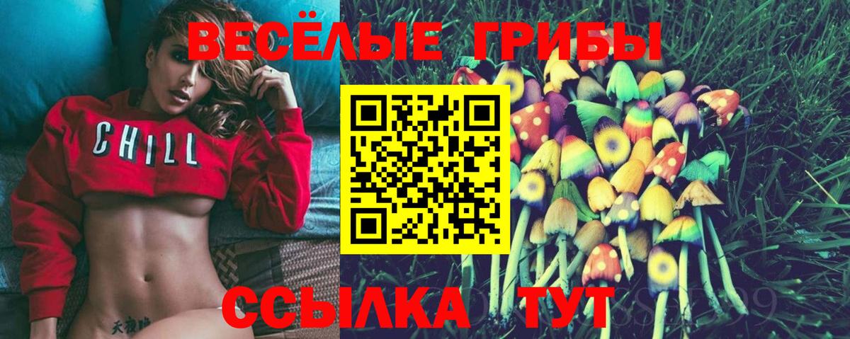 Галлюциногенные грибы Magic Shrooms  Вход с VPN  Богородицк 