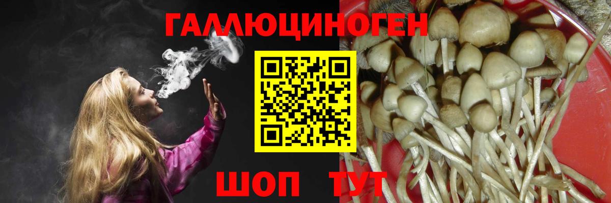 Галлюциногенные грибы Psilocybe Богородицк